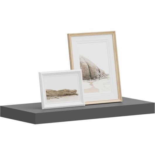 WOLTU Wall Storage Shelf CD Media Storage Rack 50 x 22.9 x 3.8 cm Dark Grey